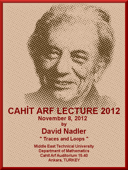 Arf Lectures 2012